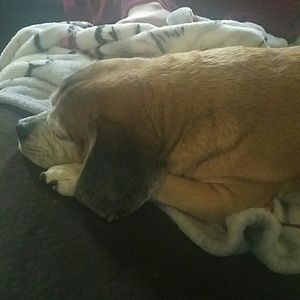 Meet your Posher, Cathy